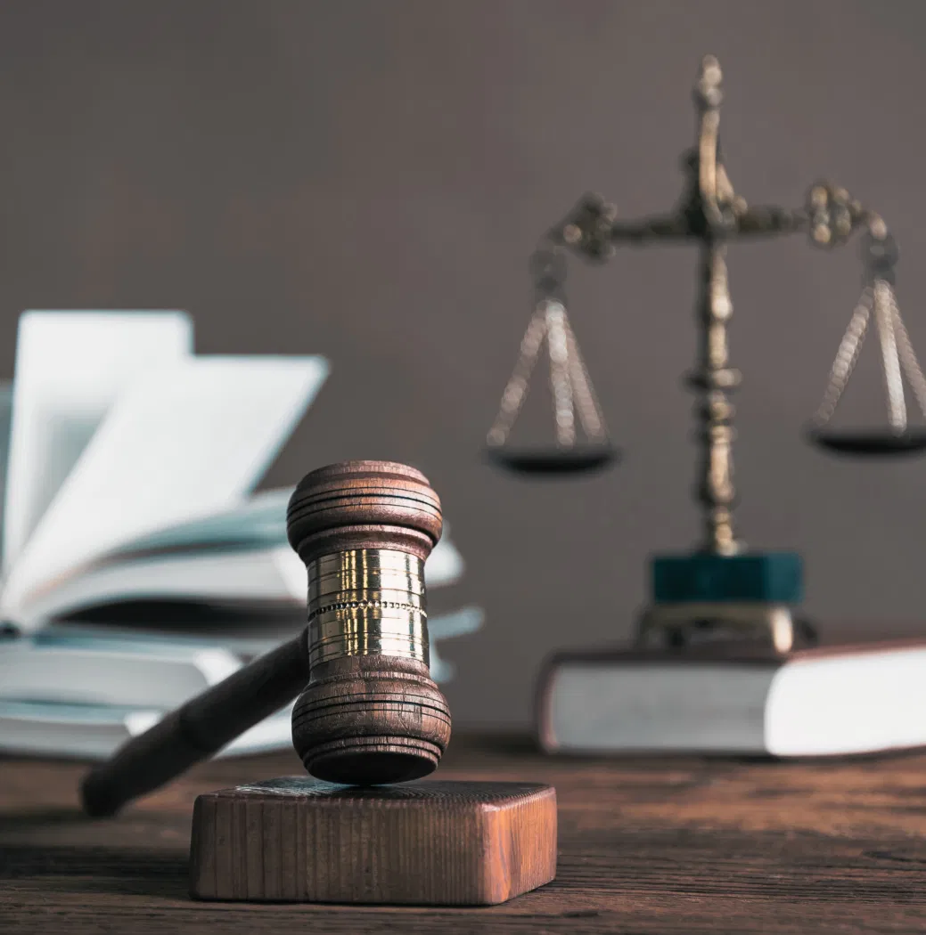 EL PROFESIONAL ES EL PRIMER RESPONSABLE DEL CUMPLIMIENTO DE LA LEY DE EJERCICIO PROFESIONAL