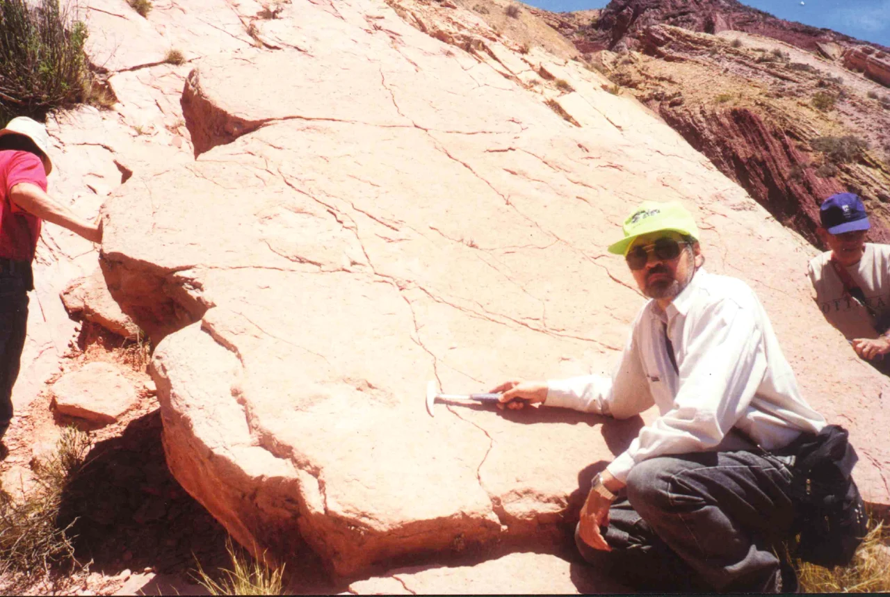 HUELLAS DE DINOSAURIOS EN MAIMARÁ: HISTORIA DE UN DESCUBRIMIENTO